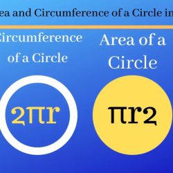 In circle c what is mfh