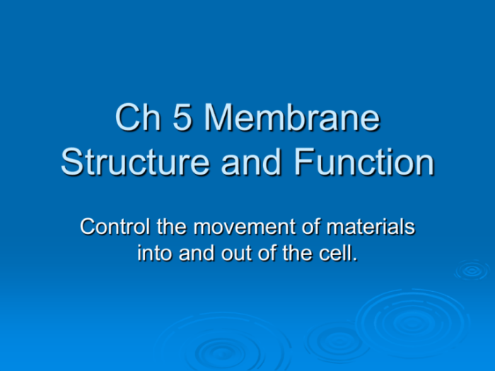 Ch 7 membrane structure and function