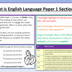 Aice english language paper 2 examples