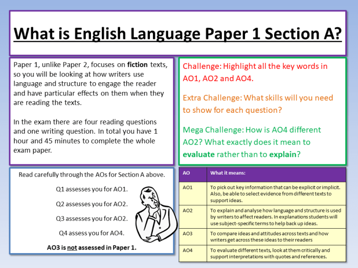 Aice english language paper 2 examples