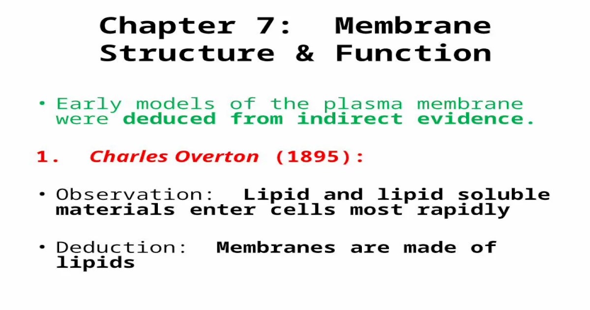 Ch 7 membrane structure and function