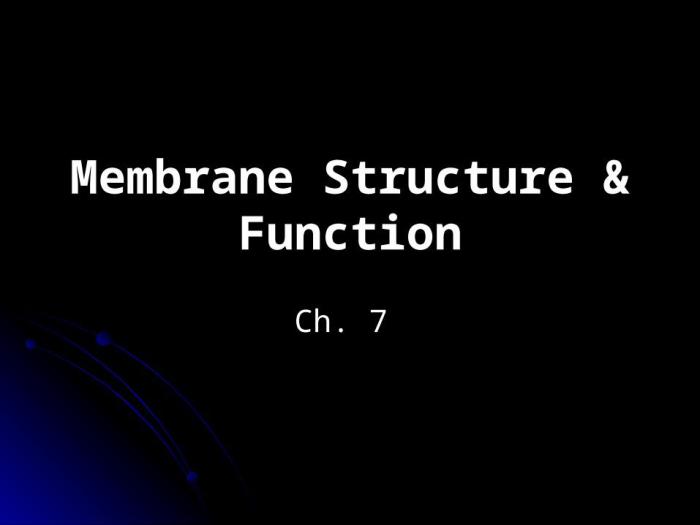 Ch 7 membrane structure and function