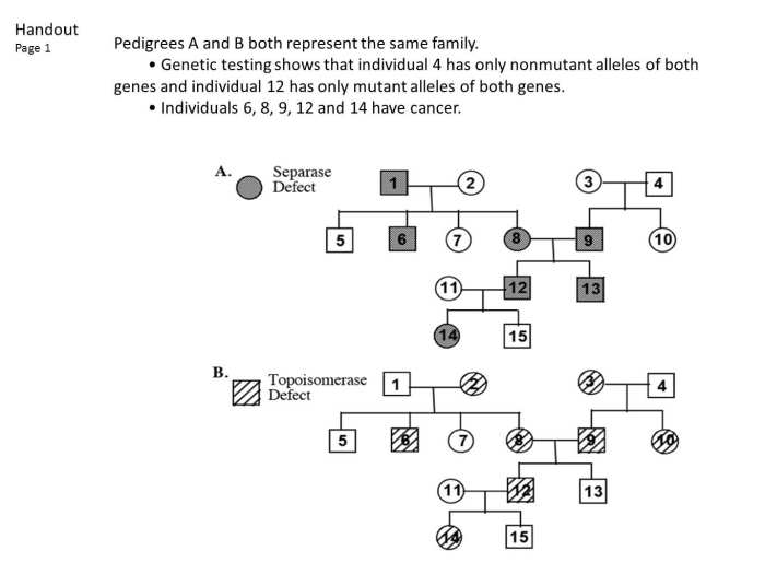 Pedigree chart worksheet with answer key