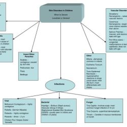 Integrity impaired wound infection