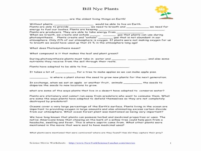 Bill nye biodiversity video worksheet answers pdf